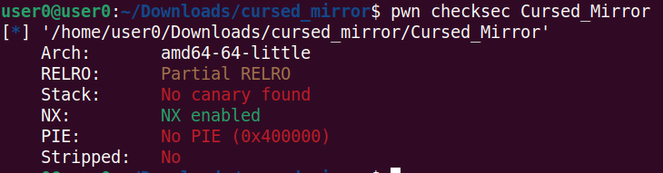 Running checksec on the binary Image