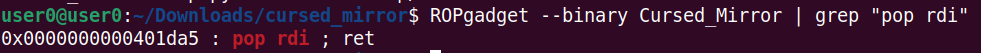 Finding a pop rdi gadget Image
